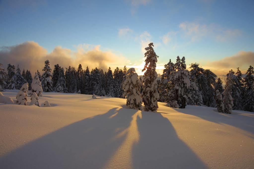 Spring Wonderland Holiday home Yosemite West
